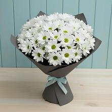 Букет белые хризантемы в Чегеме Букет цветов из:  Хризантемы в Чегеме