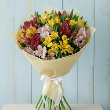 Букет цветов из:  Альстромерии #REPLACE_PRED# Чегеме