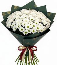 Букет море ромашек в Чегеме Букет цветов из:  Хризантемы в Чегеме